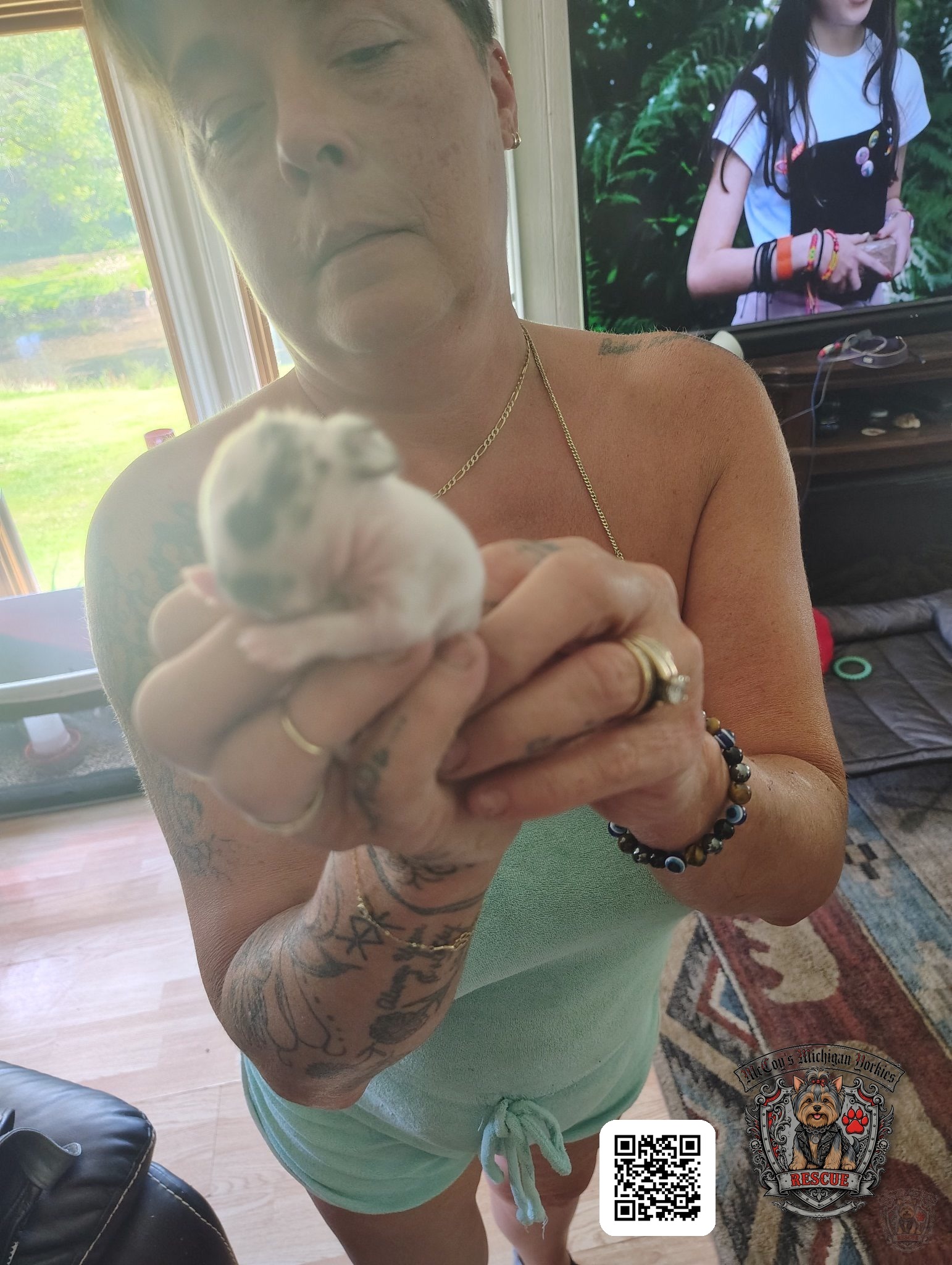Crystal gently holding a tiny white-and-gray newborn bunny kit in both hands
