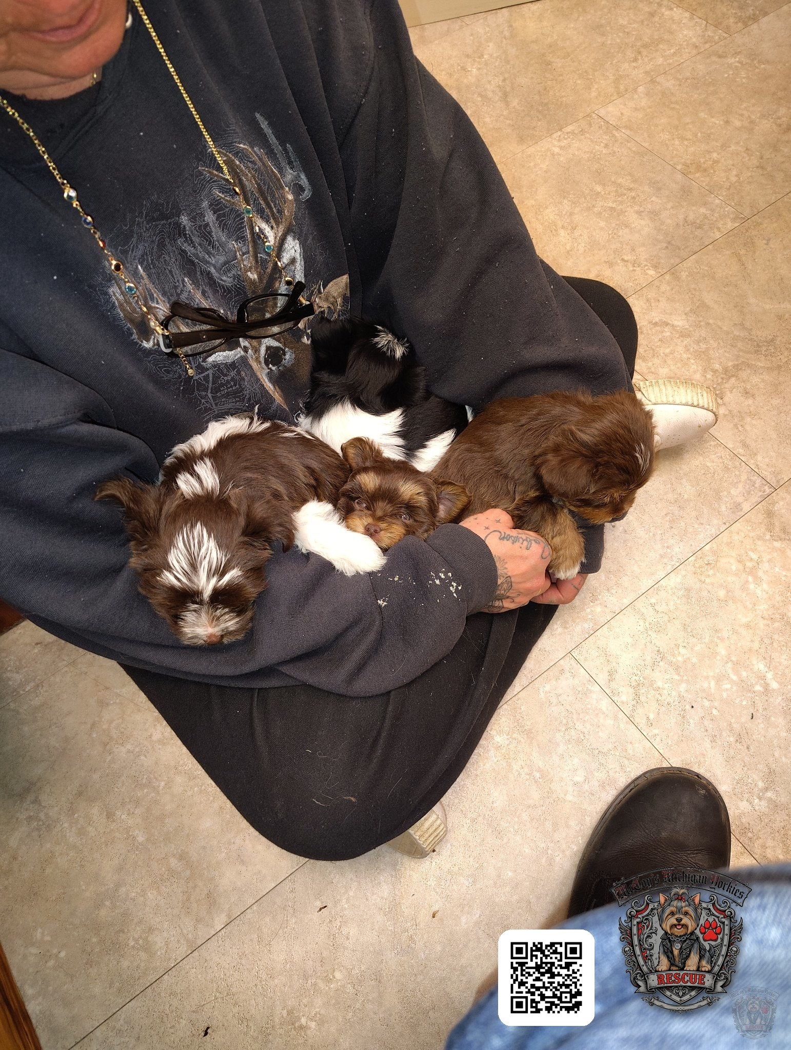 Crystal holding an armful of four sleeping chocolate and parti puppies from Gemma and Waylon Coal