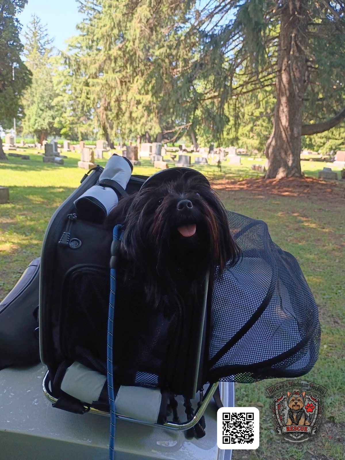 Waylon Coal riding in his carrier on the motorcycle