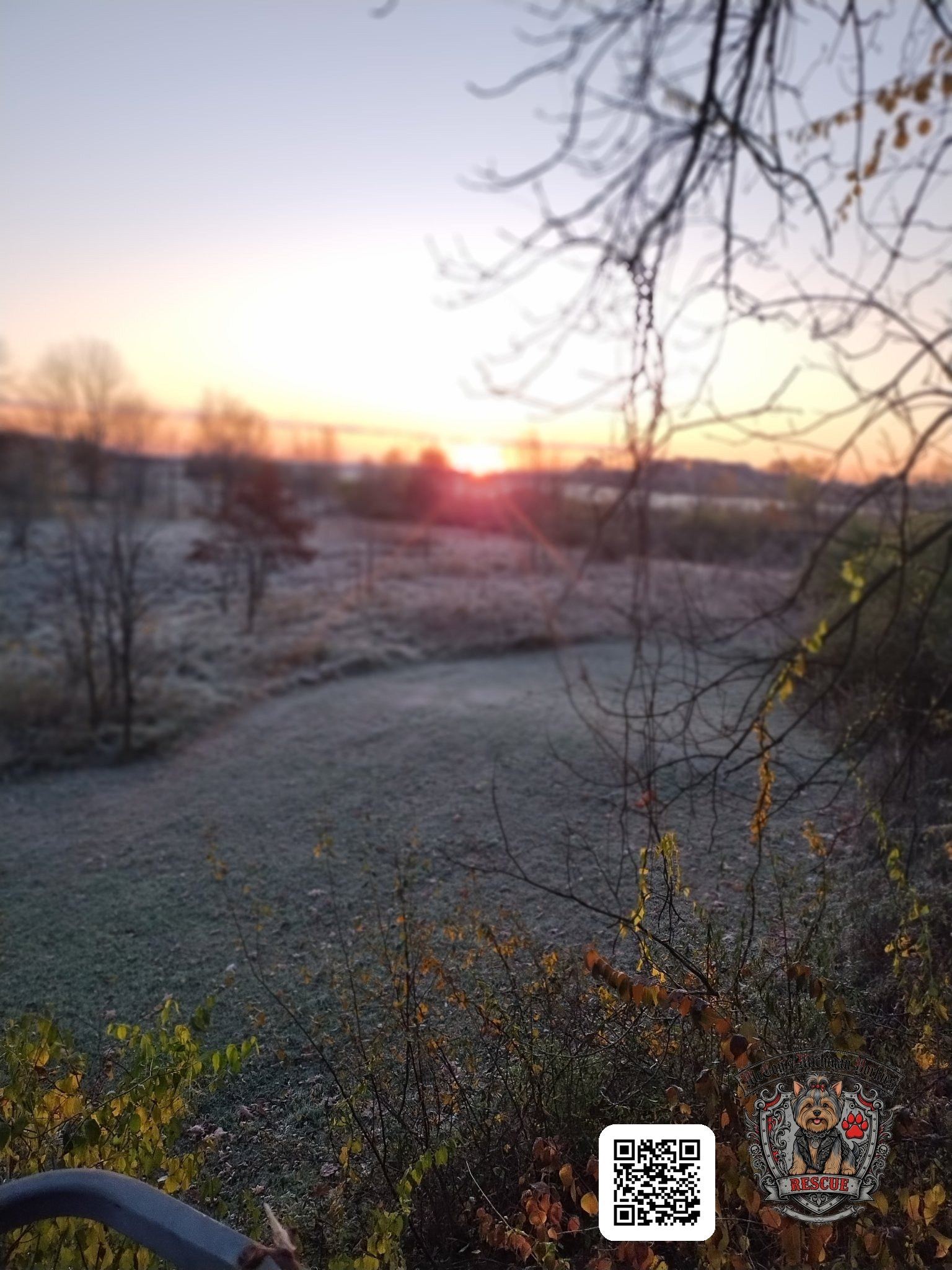 A frosty sunrise over the McCoys’ backyard