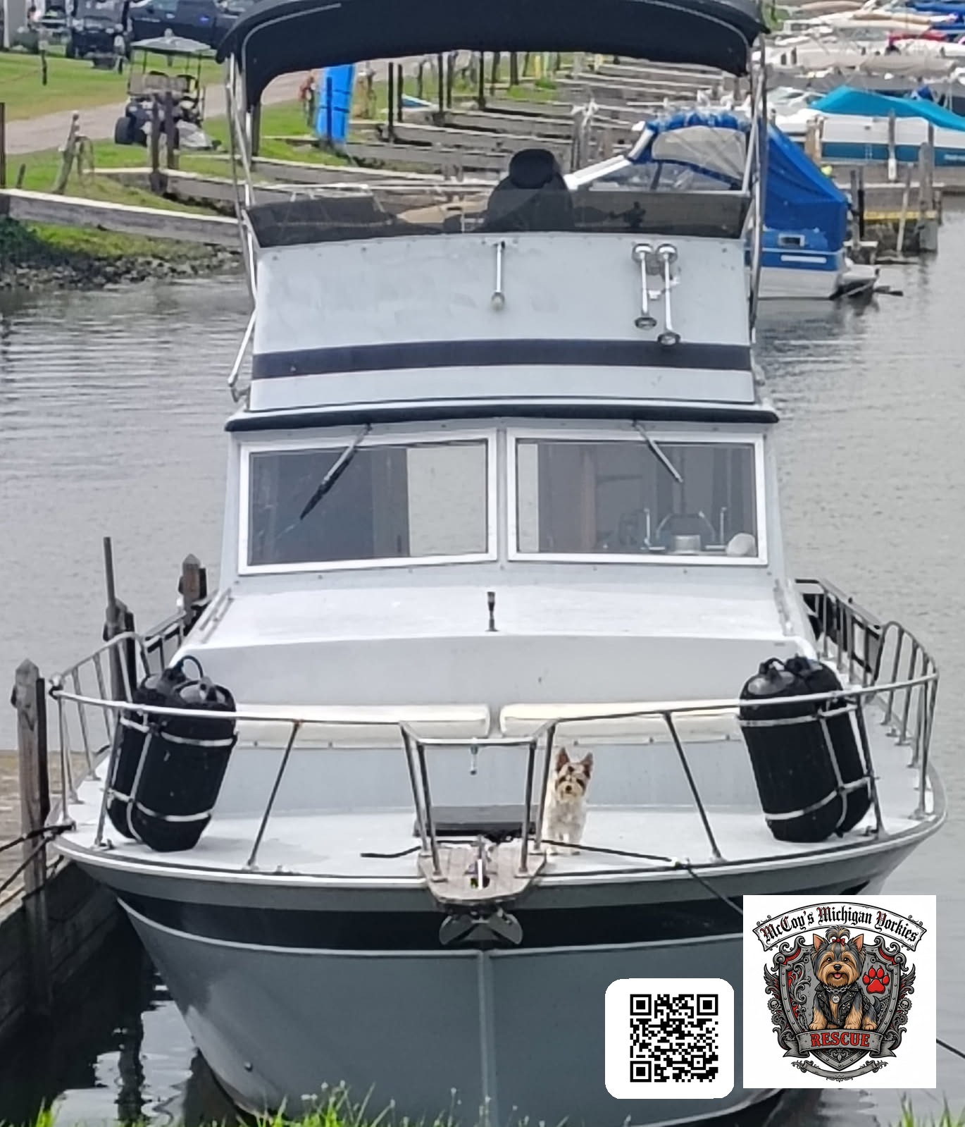 The family's restored all-aluminum Marinette boat docked at a marina, with a small Yorkshire Terrier standing on the bow